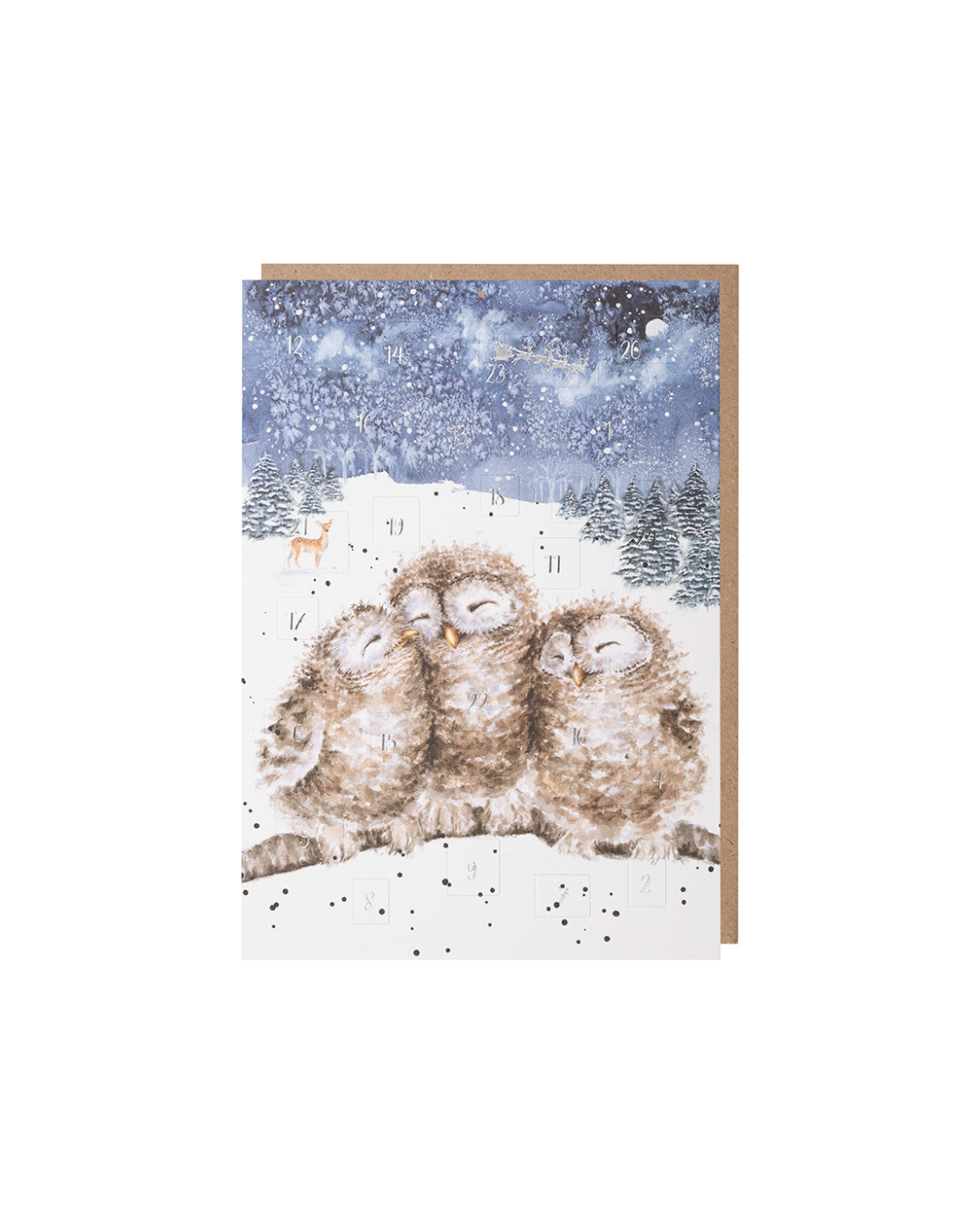 Eulen Adventskalenderkarte "Three Wise Men" von Wrendale Designs