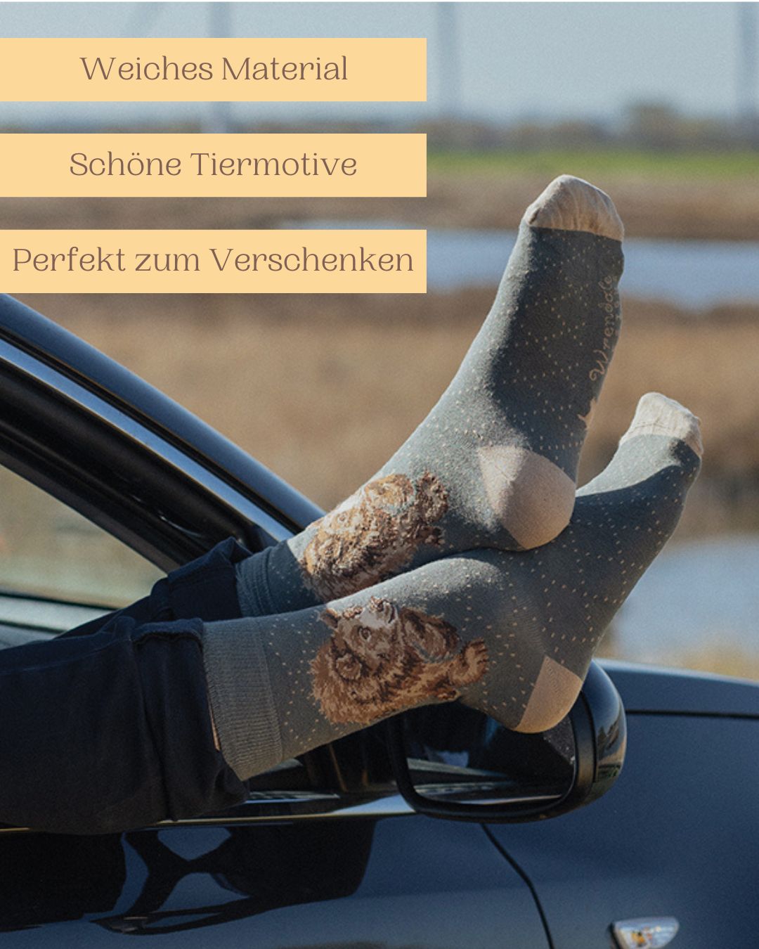 Weiche Männersocken mit schönem Bär-Motiv von Wrendale Designs auch perfekt zum Verschenken.