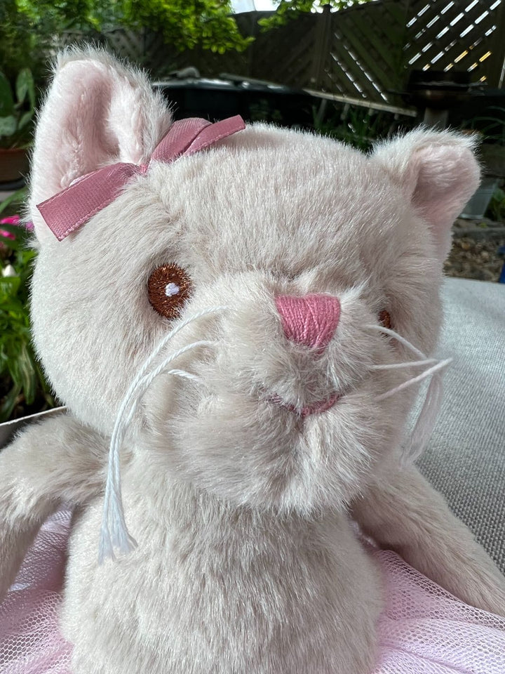 Ballerina Sweet Albertina Bukowski