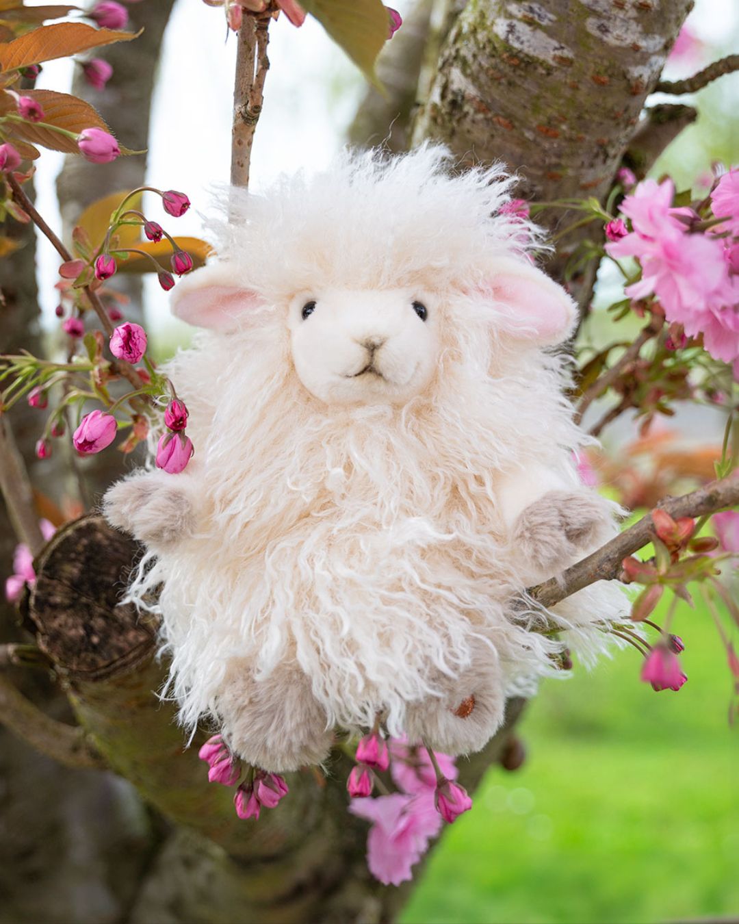 Ein super flauschiges Beryl Schaf Kuscheltier von Wrendale Designs sitzt in einem Baum zwischen den Kirschblüten.