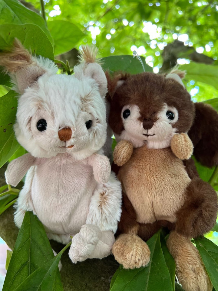 Eichhörnchen Brunis und Blixen Bukowski