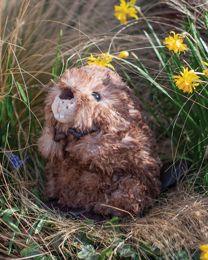 Chester das weiche Biber Kuscheltier von Wrendale Designs sitzt gemütlich in einer Wiese.