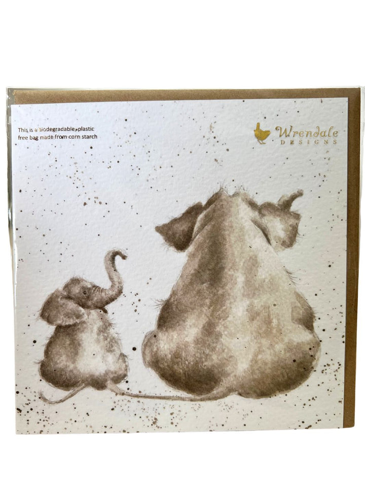 Grußkarten Zootiere von Wrendale Designs