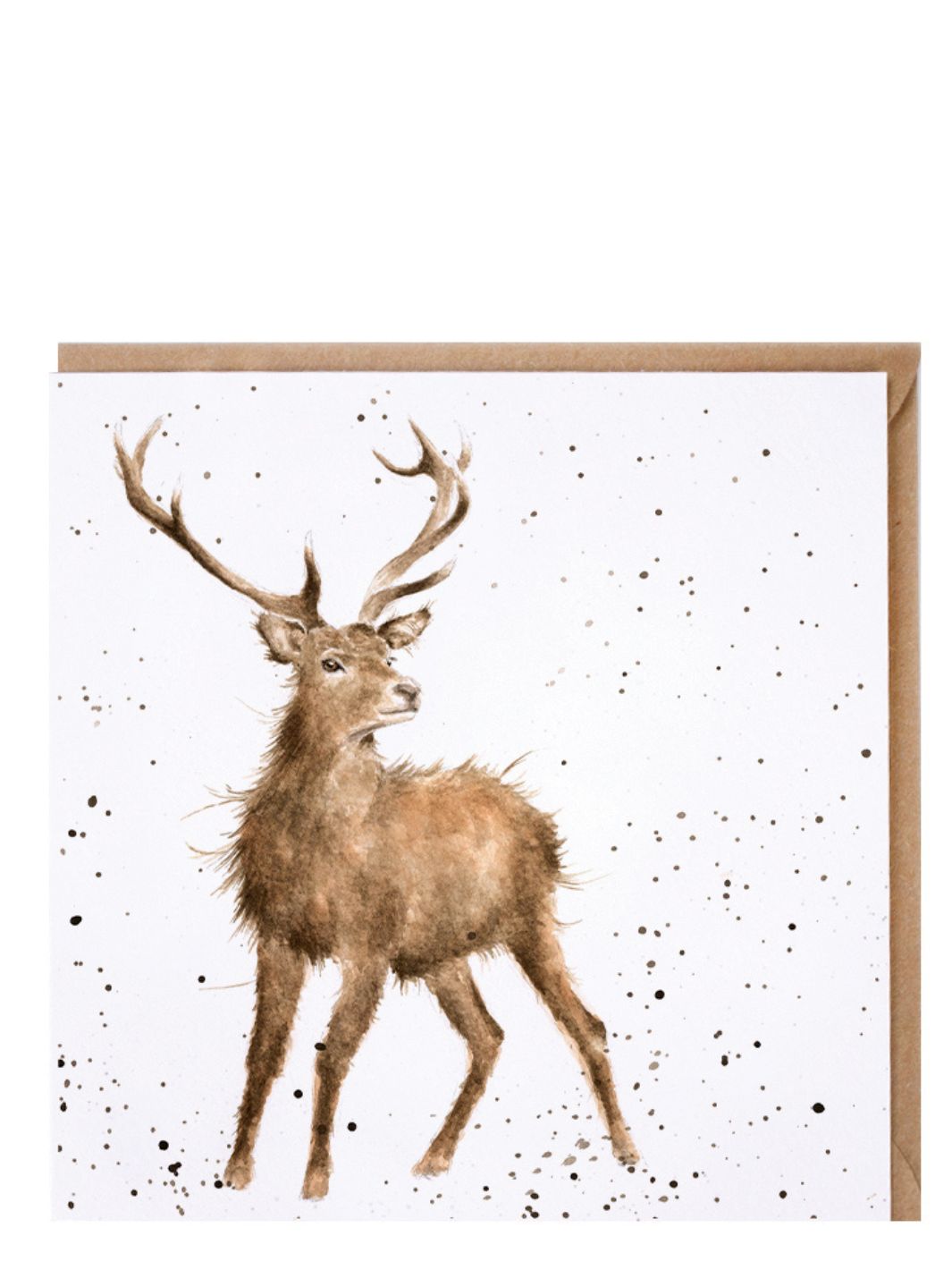 Doppelkarte Hirsch von Wrendale Designs