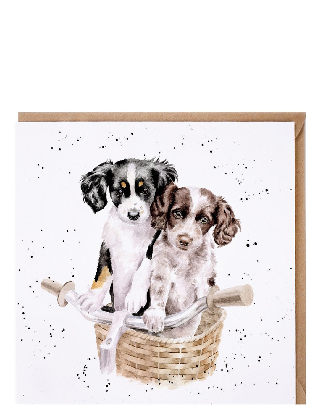 Doppelkarte Hunde im Fahrradkorb von Wrendale Designs