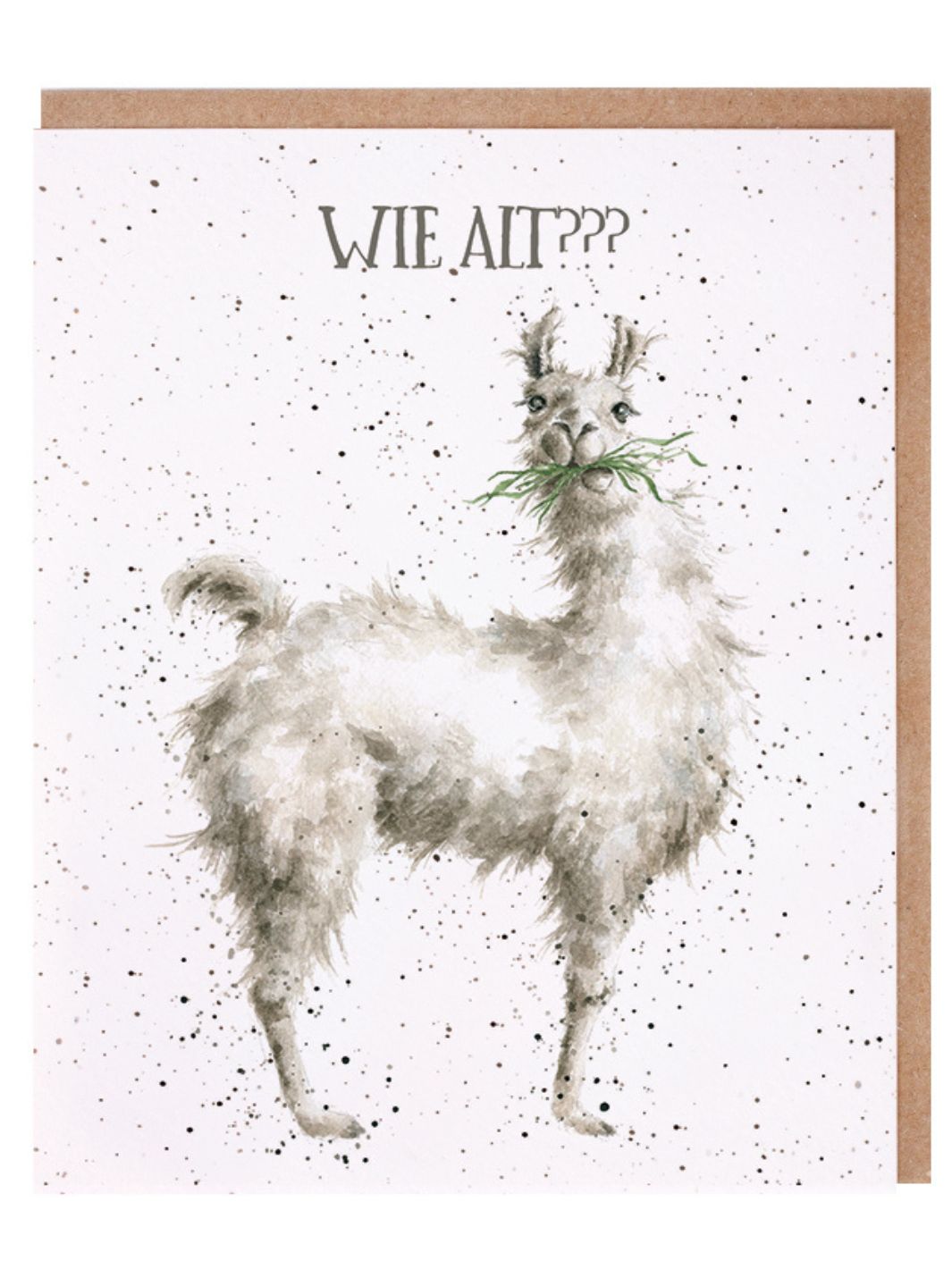 Doppelkarte Lama "Wie alt?" von Wrendale Designs