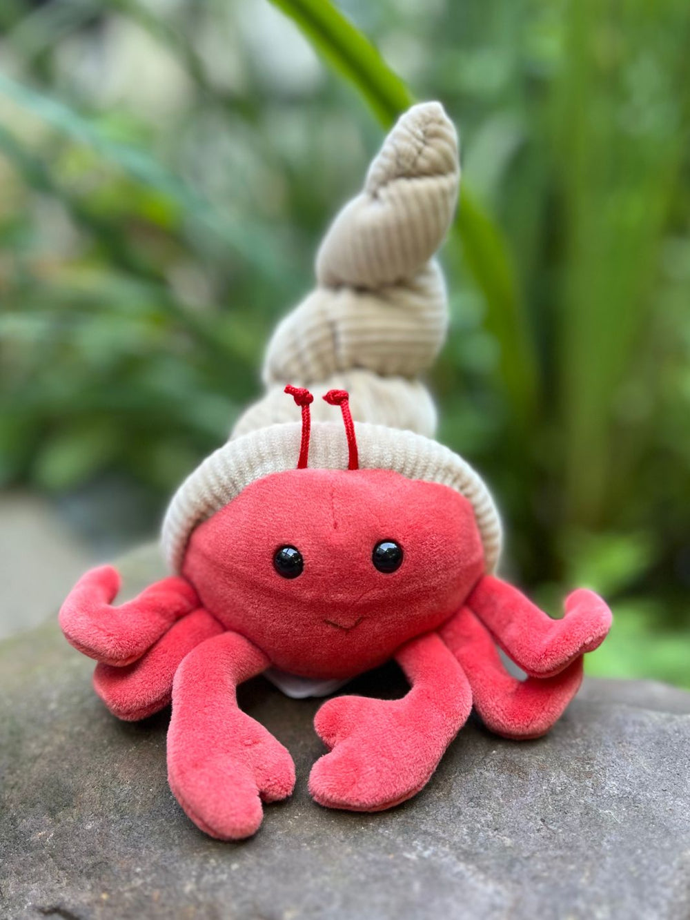 Hermit Crab von Bukowski ist ein niedlicher Einsiedlerkrebs