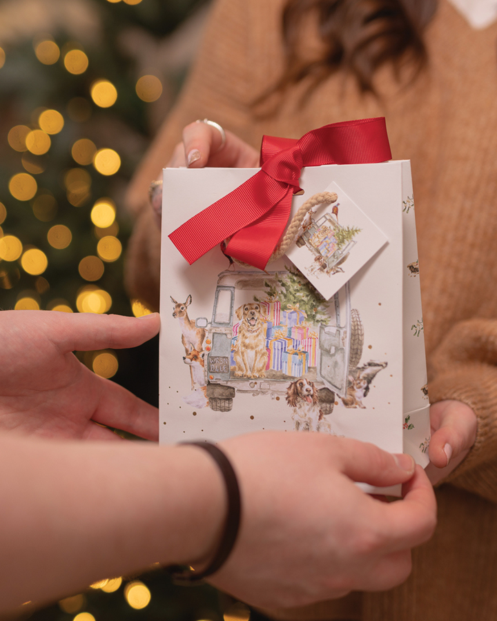 Weihnachtsauto Geschenktasche XS "Driving Home for Christmas" von Wrendale Designs