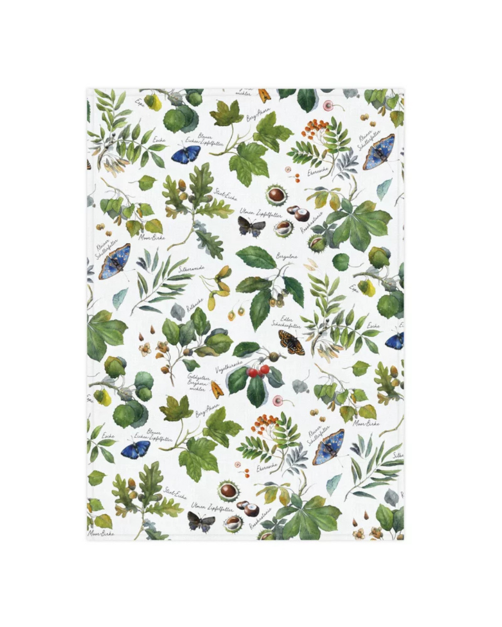 Geschirrtuch Laubbäume vom Grätz Verlag vor weißem Hintergrund, illustriert von Sophia Drescher. Detailreiches Motiv mit verschiedenen Laubbaumarten wie Eiche, Ulme und Ahorn, ergänzt durch Früchte, Blätter und Schmetterlinge. Gedruckt auf weißem Baumwollstoff.