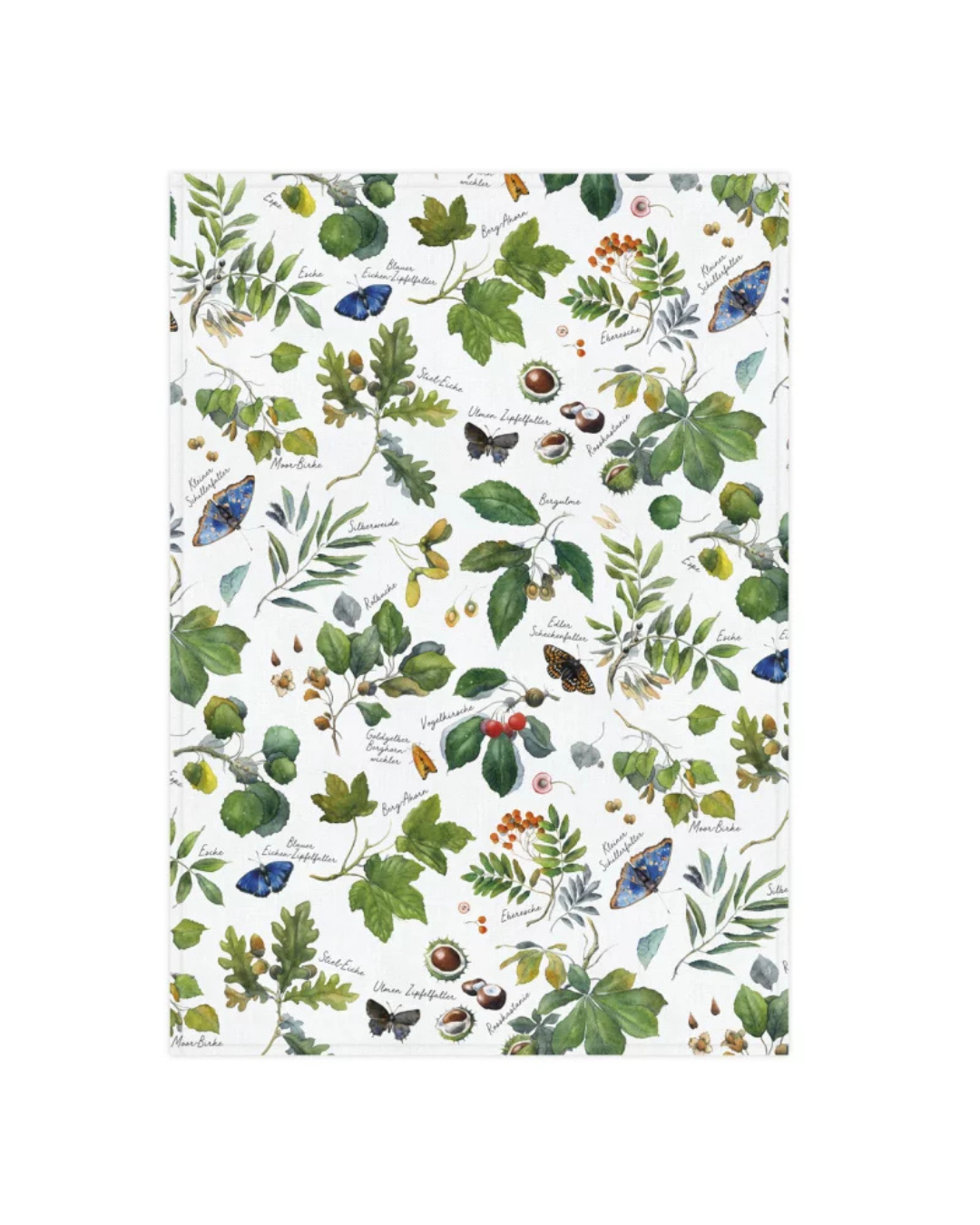 Geschirrtuch Laubbäume vom Grätz Verlag vor weißem Hintergrund, illustriert von Sophia Drescher. Detailreiches Motiv mit verschiedenen Laubbaumarten wie Eiche, Ulme und Ahorn, ergänzt durch Früchte, Blätter und Schmetterlinge. Gedruckt auf weißem Baumwollstoff.