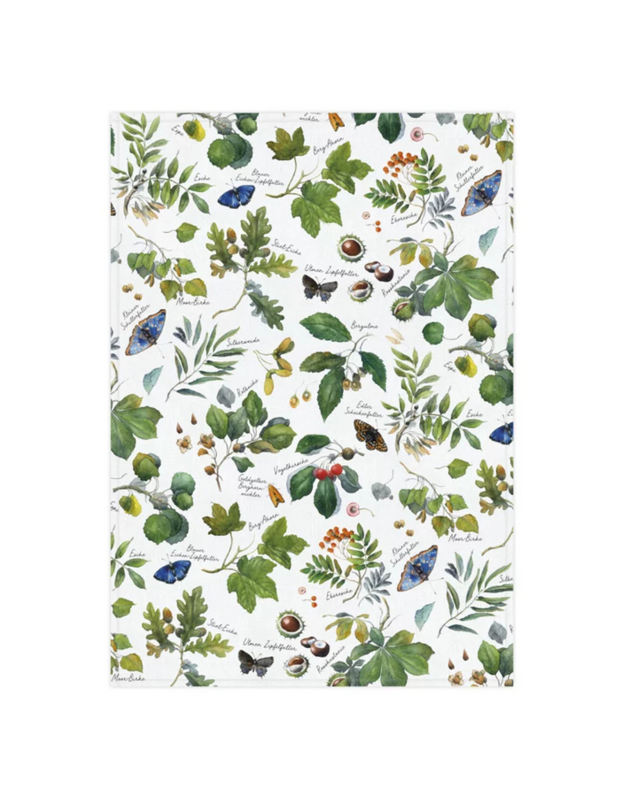 Geschirrtuch Laubbäume vom Grätz Verlag vor weißem Hintergrund, illustriert von Sophia Drescher. Detailreiches Motiv mit verschiedenen Laubbaumarten wie Eiche, Ulme und Ahorn, ergänzt durch Früchte, Blätter und Schmetterlinge. Gedruckt auf weißem Baumwollstoff.