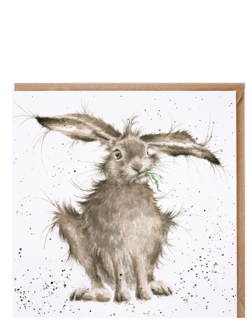 Hase Grußkarte mit Umschlag von Wrendale Designs