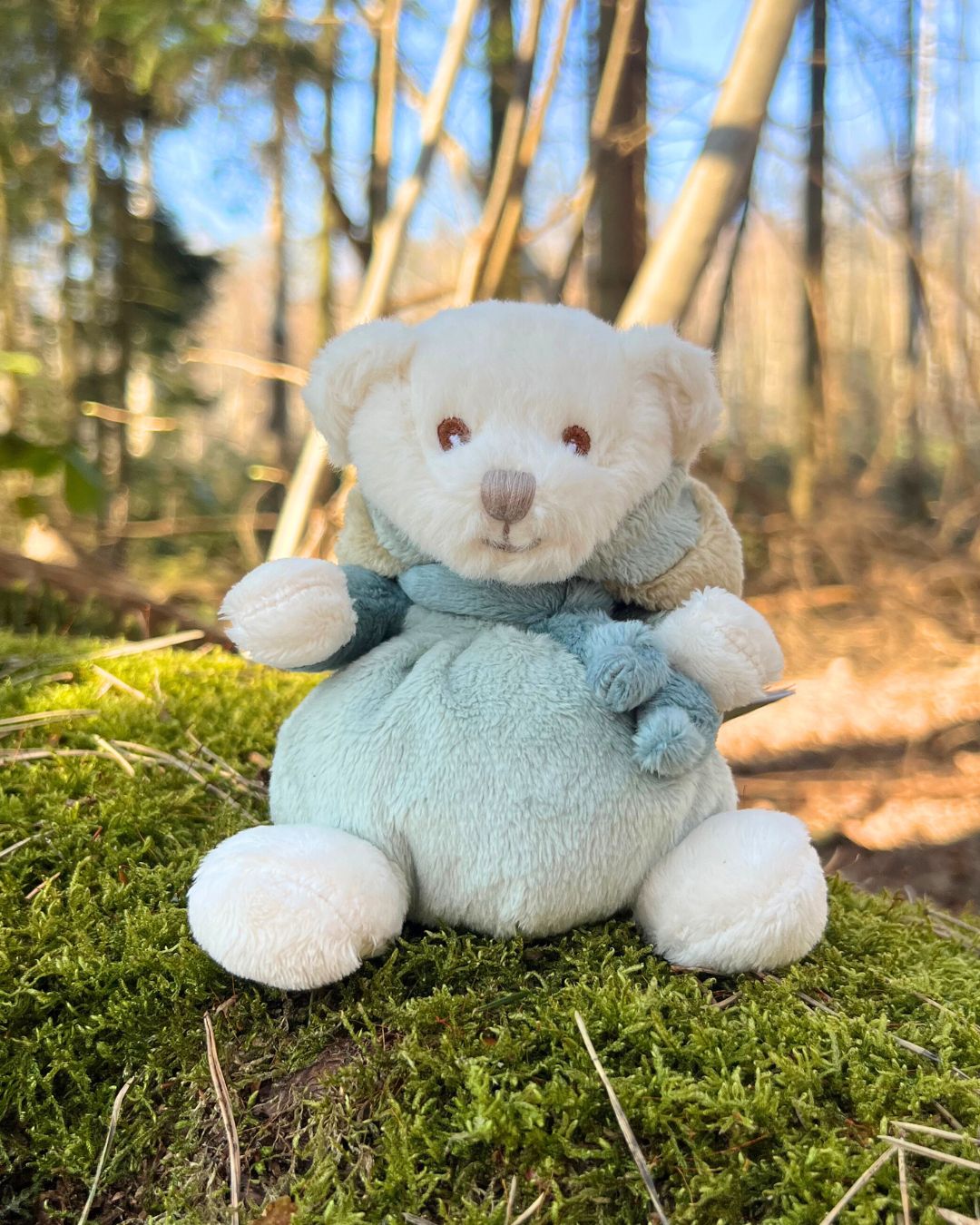 Teddybär im Hasen Kostüm Ziggy Happy Benji Kuscheltier in grün und blau von Bukowski.