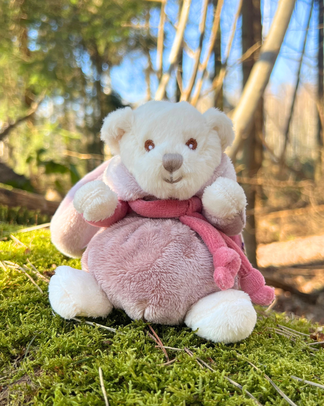 Teddybär im Hasen Kostüm Ziggy Happy Bibi Kuscheltier in rosa von Bukowski.