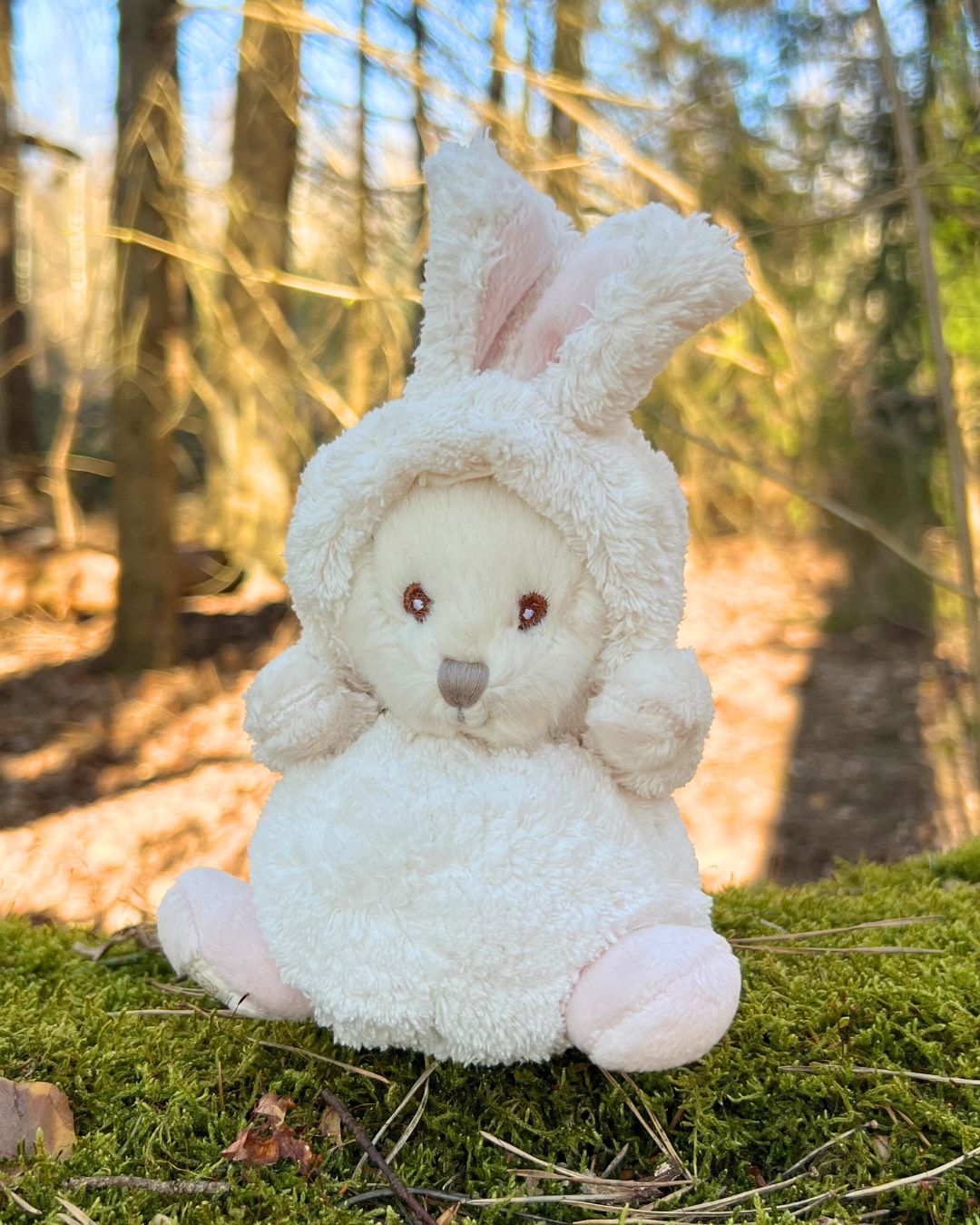 Hasen Ziggy in der Farbe light pink von Bukowski.