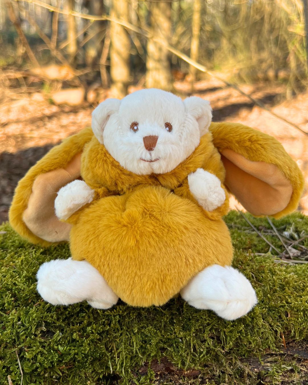 Teddybär in Safran gelbem Ziggy Hasen Kostüm von Bukowski.