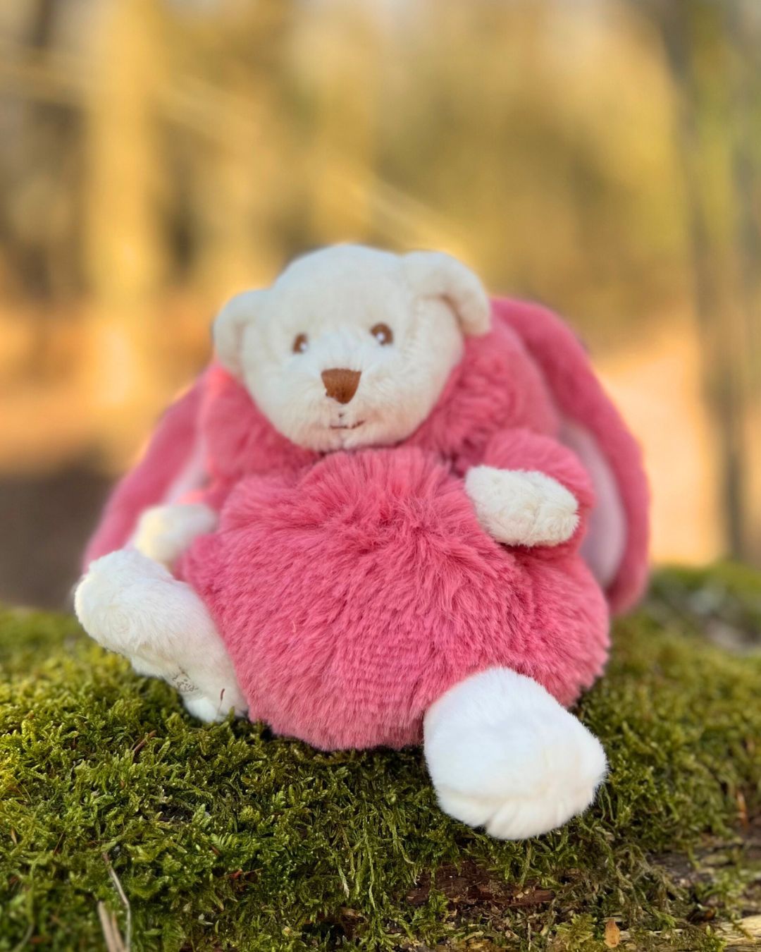 Teddybär in pinkem Ziggy Hasen Kostüm von Bukowski.