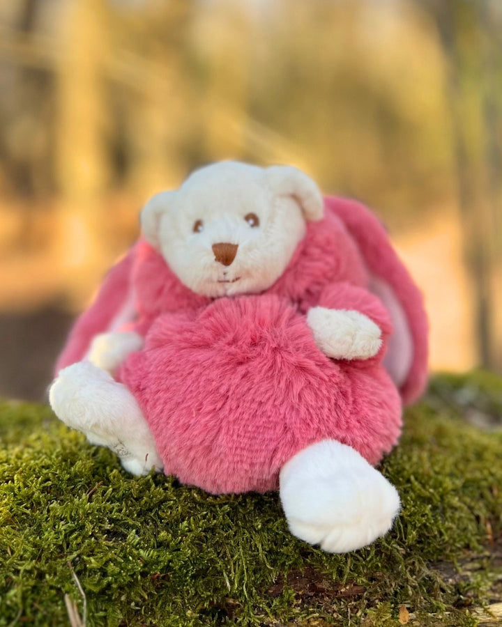 Teddybär in pinkem Ziggy Hasen Kostüm von Bukowski.