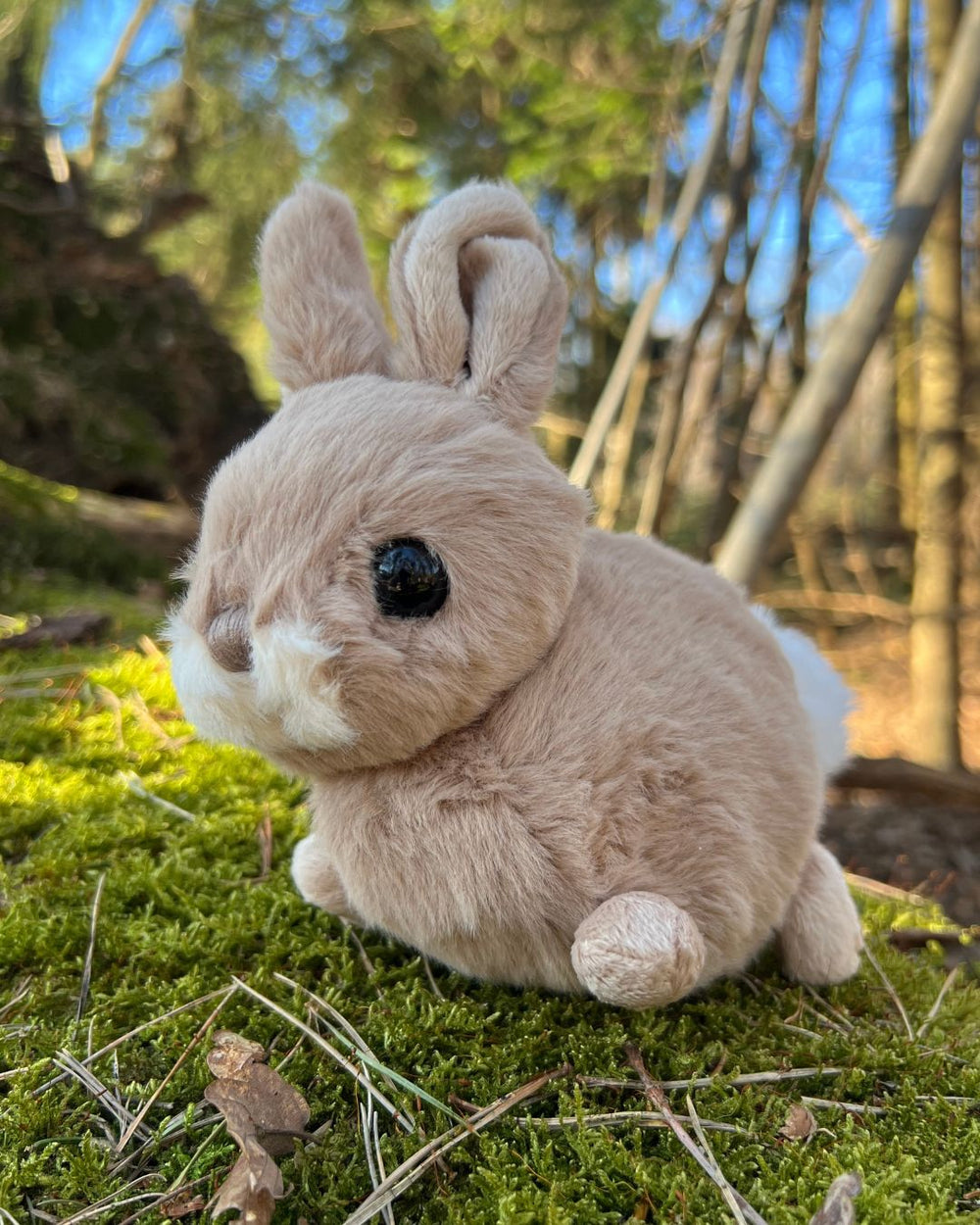 Hera das braune Hasen Kuscheltier von Bukowski sitzt auf einem Baumstamm.
