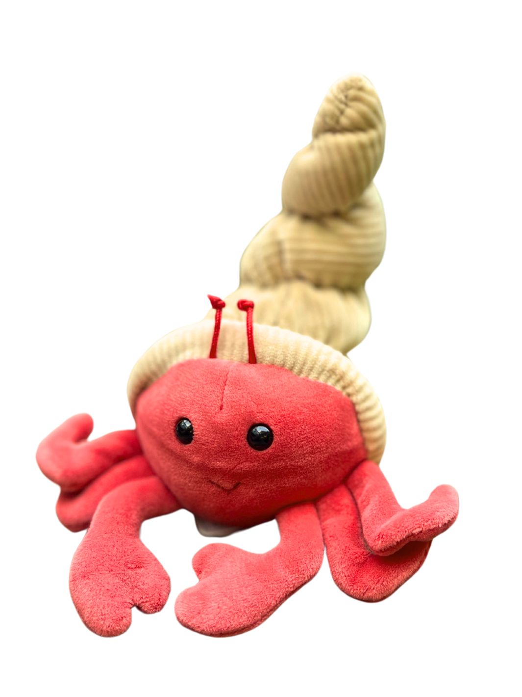 Kleiner Einsiedlerkrebs Hermit Crab von Bukowski