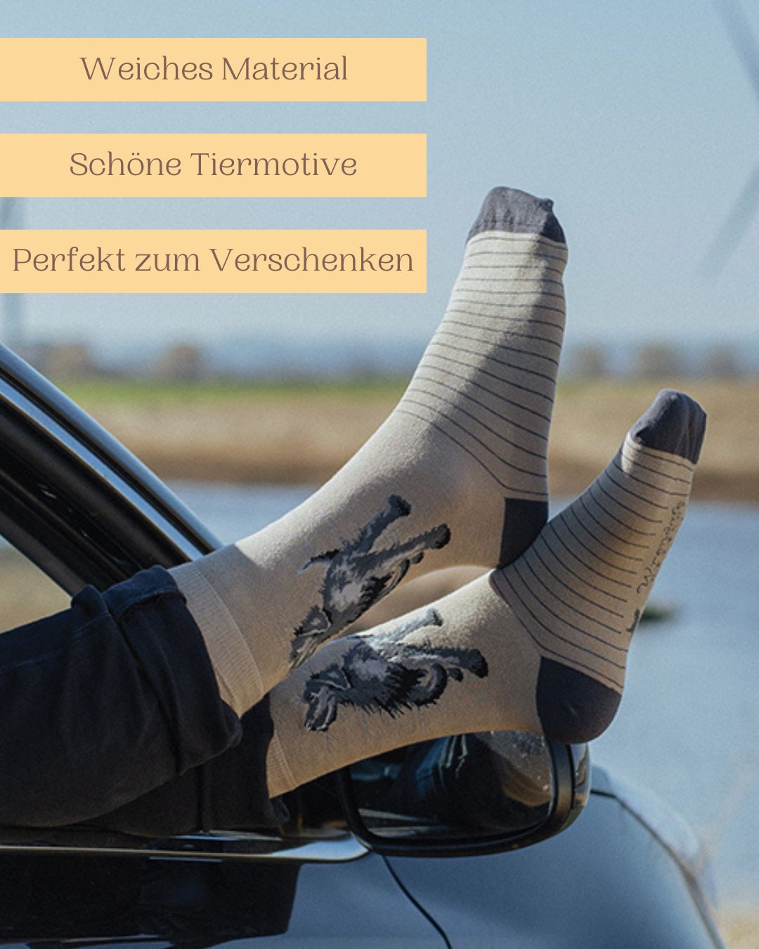 Weiche Männersocken mit schönem Hunde-Motiv von Wrendale Designs auch perfekt zum Verschenken.