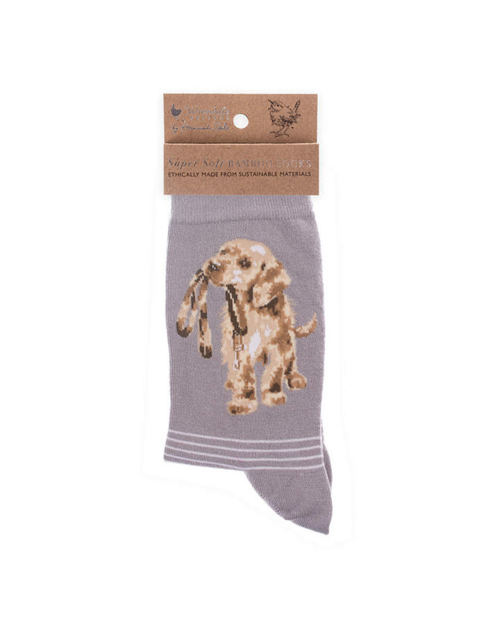 Hellgraue weiche Hunde Socken aus Bambusviscose von Wrendale Designs mit der braunen Verpackung vor weißem Hintergrund.