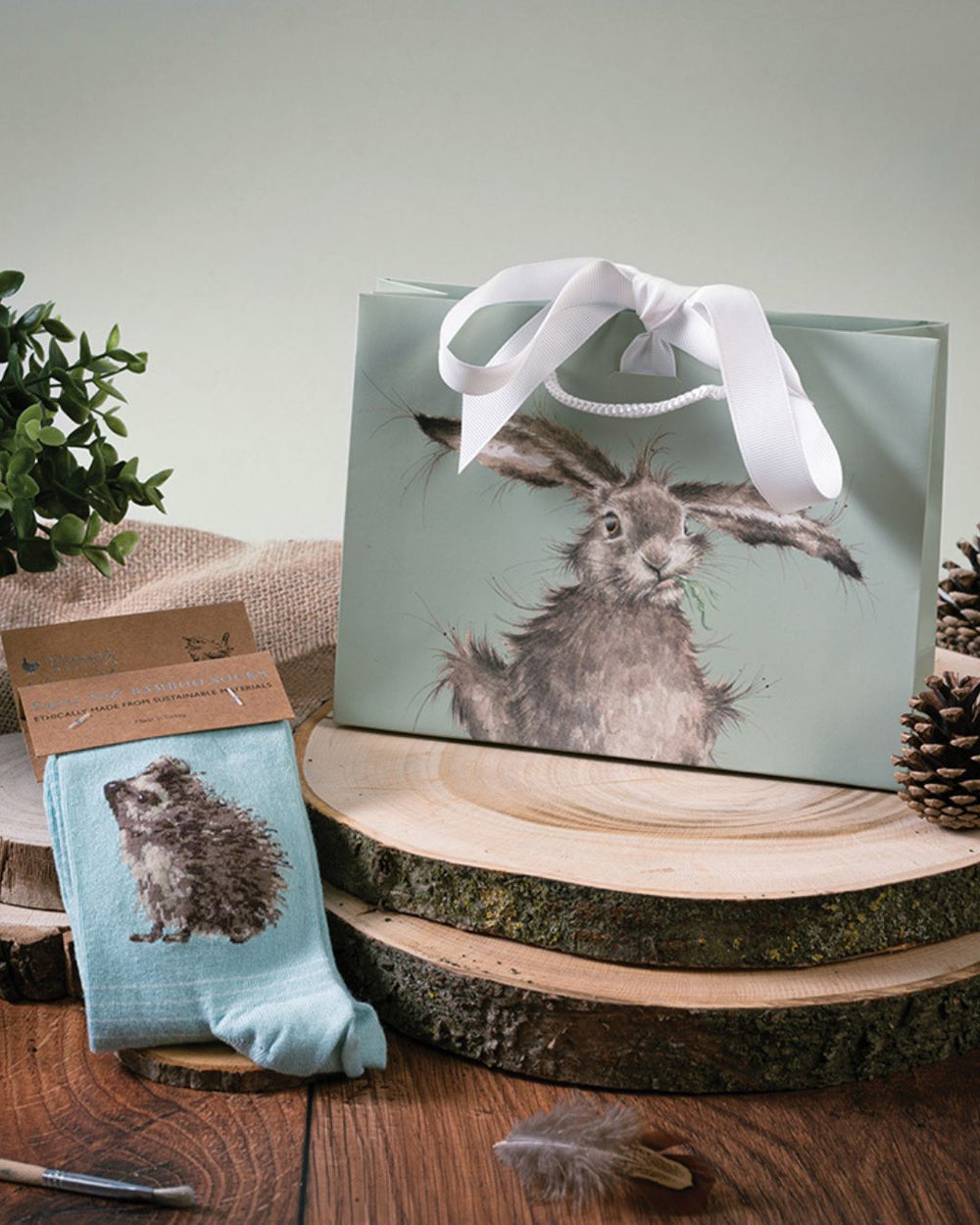Igel Socken mit Geschenkverpackung von Wrendale Designs.