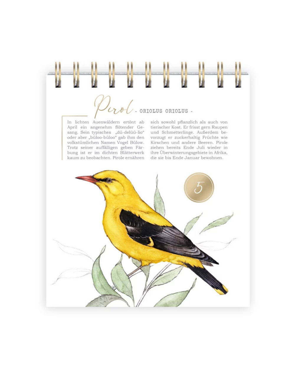 Innenansicht des Adventskalenders mit Illustration eines Pirols