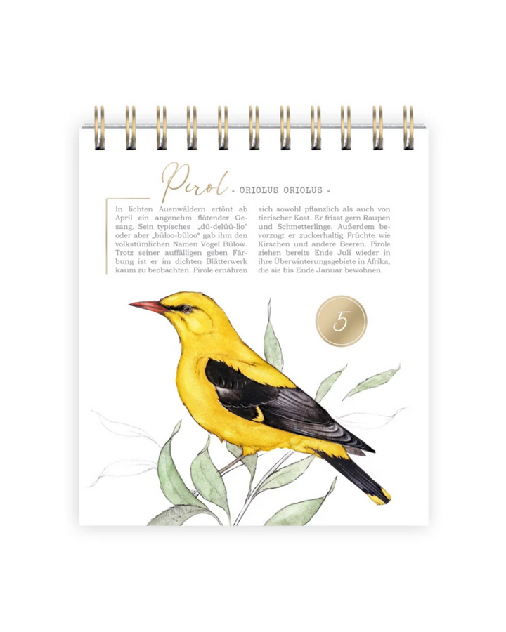 Innenansicht des Adventskalenders mit Illustration eines Pirols