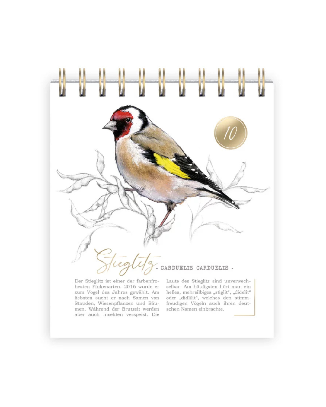 Innenansicht des Adventskalenders mit Illustration eines Stieglitz