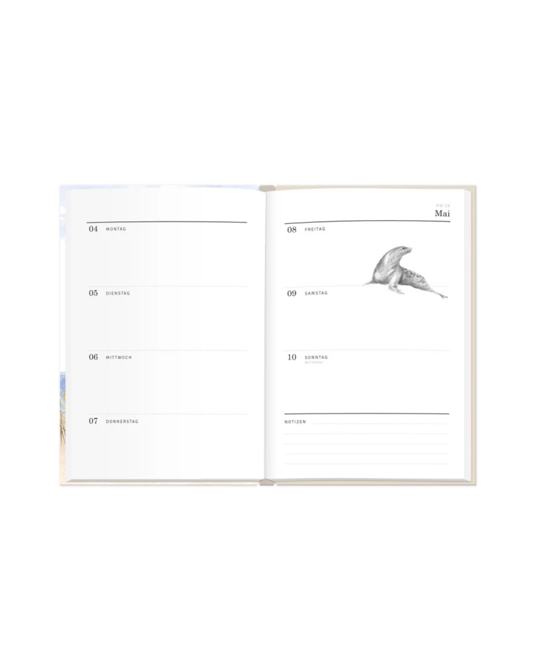 Innenansicht Kalender Strandkorb mit einer Robben Illustration