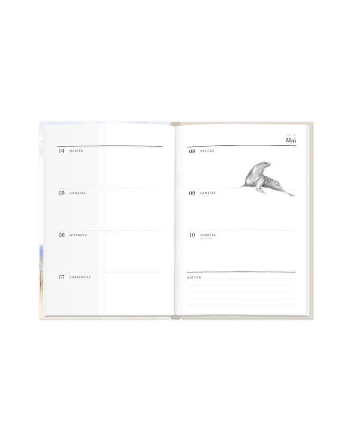 Innenansicht Kalender Strandkorb mit einer Robben Illustration