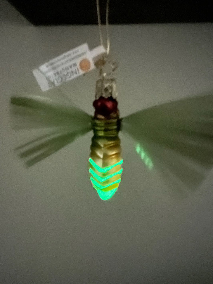 Irrlicht aus der Anderswelt Anhänger von Inge Glas