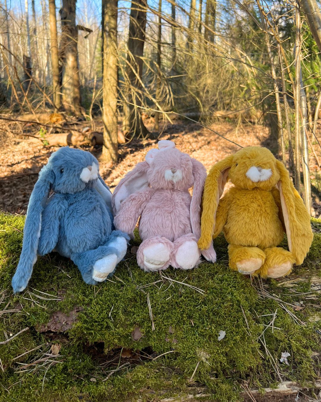 Drei Kanina Kuscheltiere von Bukowski in verschieden bunten Farben sitzen auf einem Baumstamm.