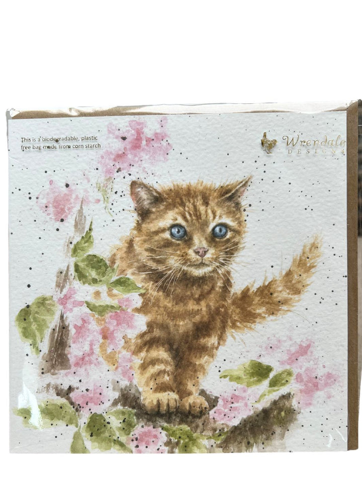 Grußkarte Katzen von Wrendale Designs