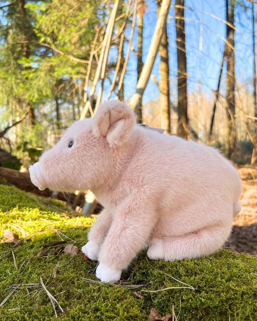 Kuscheltier Schwein Sweet Oink von Bukowski.