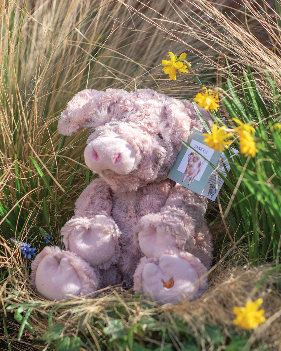 Das Kuscheltier Schwein Vanessa von Wrendale Designs sitzt vergnügt in einer Wiese.