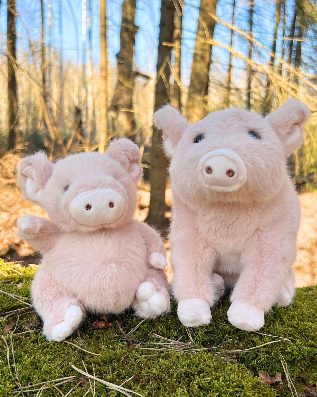 Ein kleines und ein großes Kuscheltier Schwein mit den Namen Baby und Sweet Oink von Bukowski.