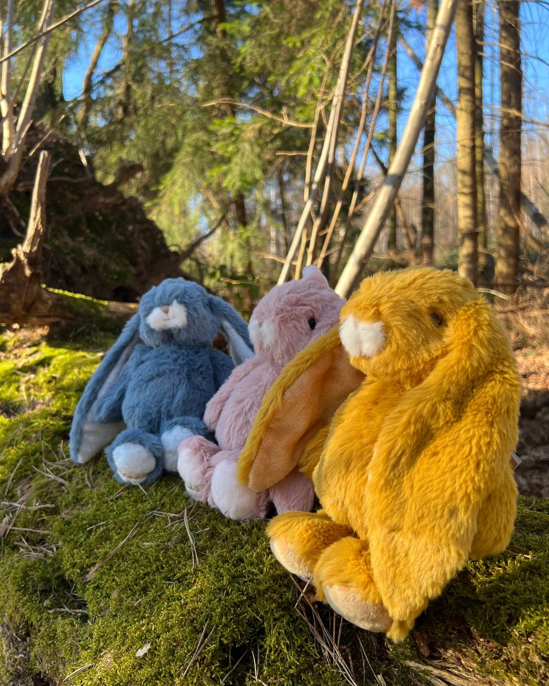 Bunte Kaninchen Kuscheltiere Kanina von Bukowski aus Schweden sitzen im Wald.