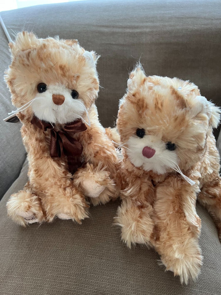 Katze Loke the Kitty Bukowski