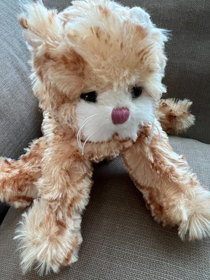 Katze Loke the Kitty Bukowski