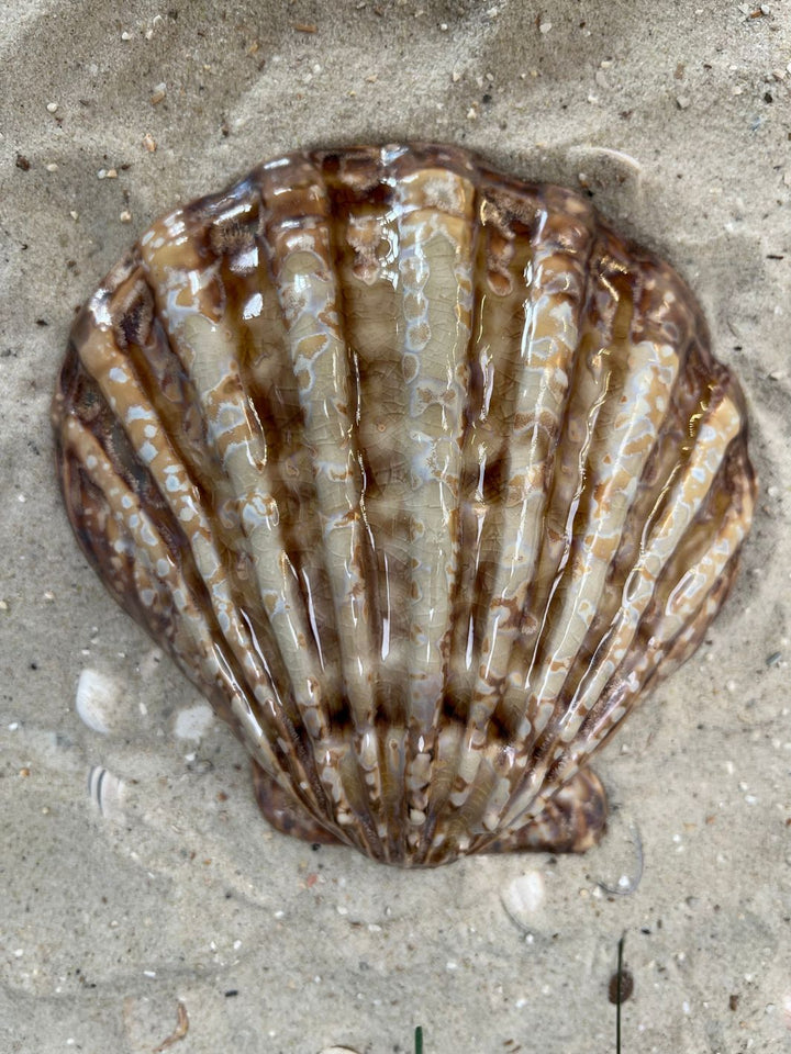 Loule Shell Dekoschale von Rivièra Maison