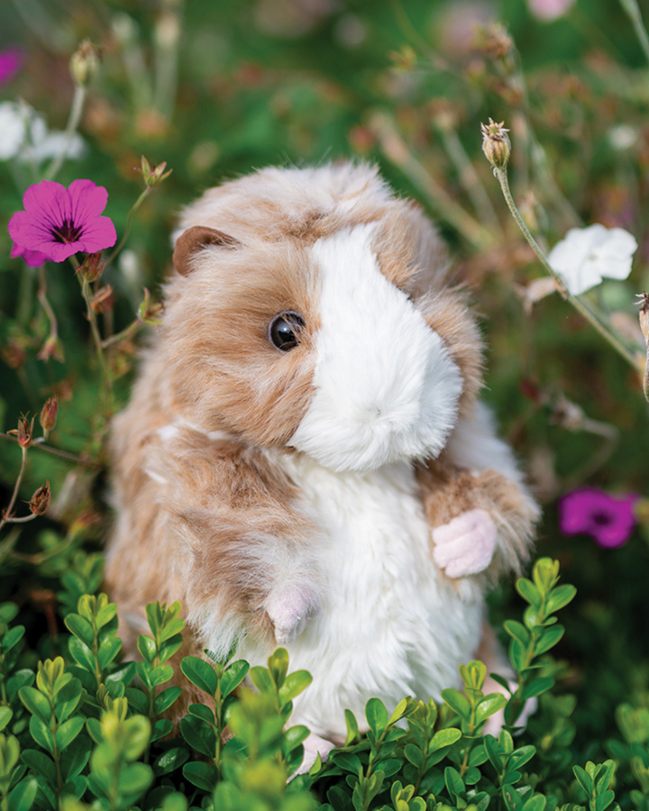 Das Meerschweinchen Kuscheltier mit dem Namen Daphne von Wrendale Designs sitzt in einem Blumenbeet.