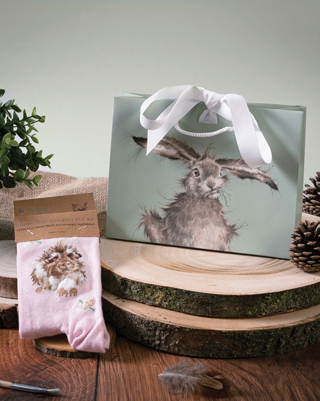 Rosa Meerschweinchen Socken mit Geschenktasche von Wrendale Designs.