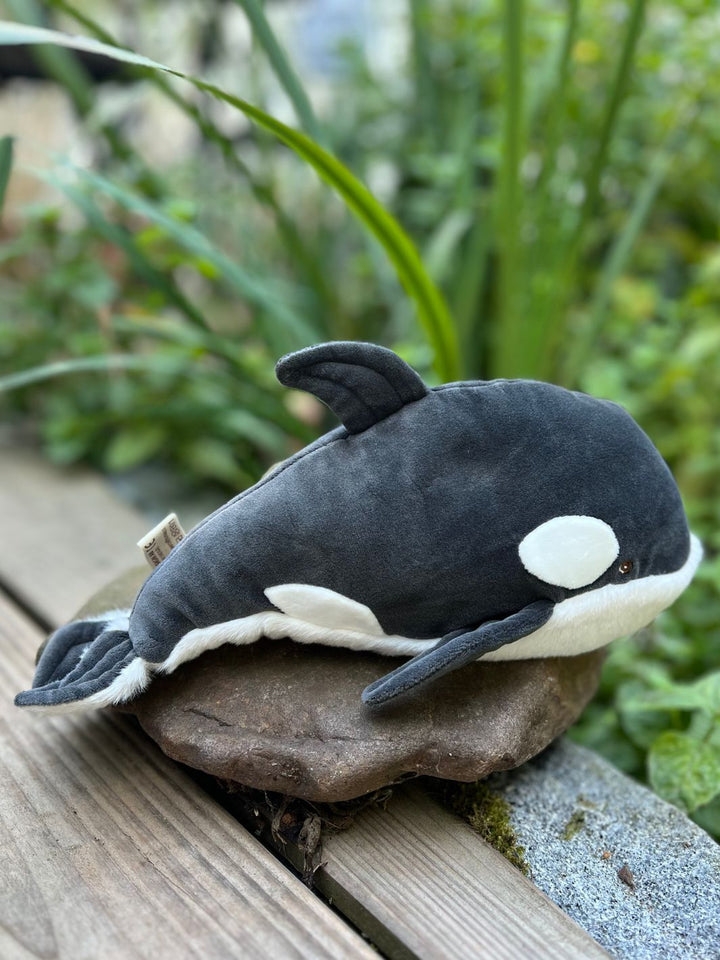Kleiner Orca Wal Baby Oreo von Bukowski