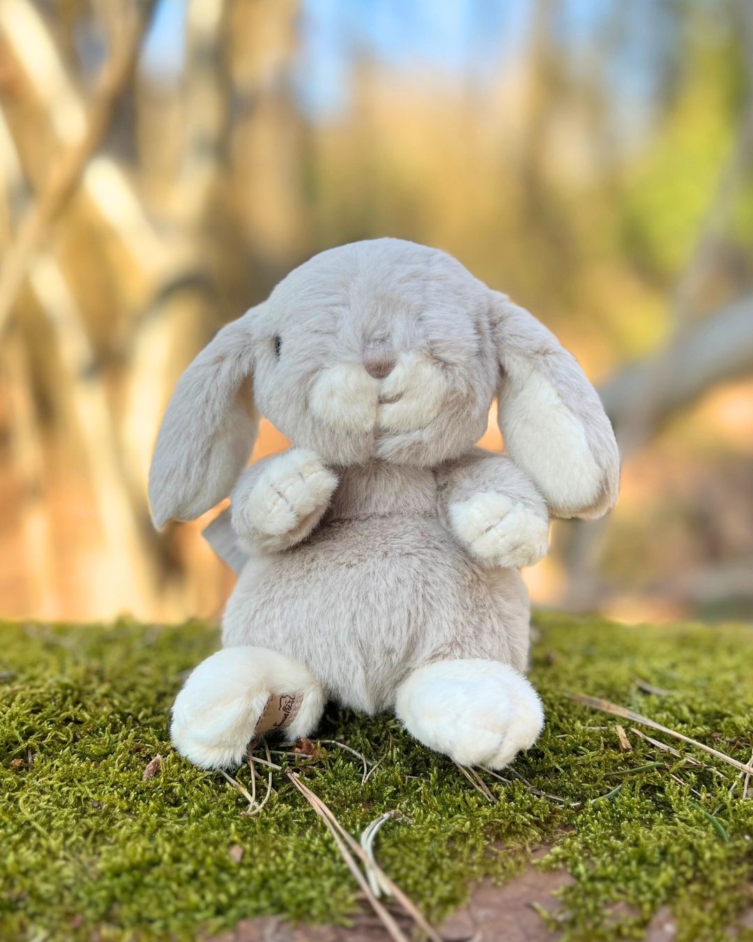 Pastell blaues Kanini Kuscheltier von Bukowski für Kinder im Wald.