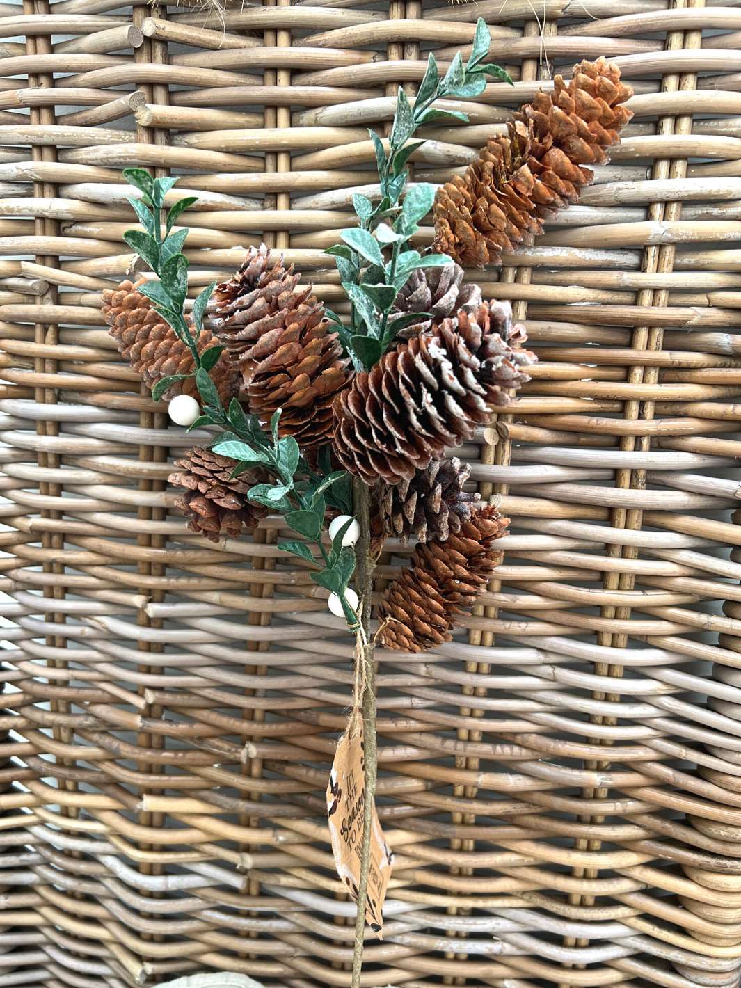 Pinecone Branch Zweig von Riviera Maison