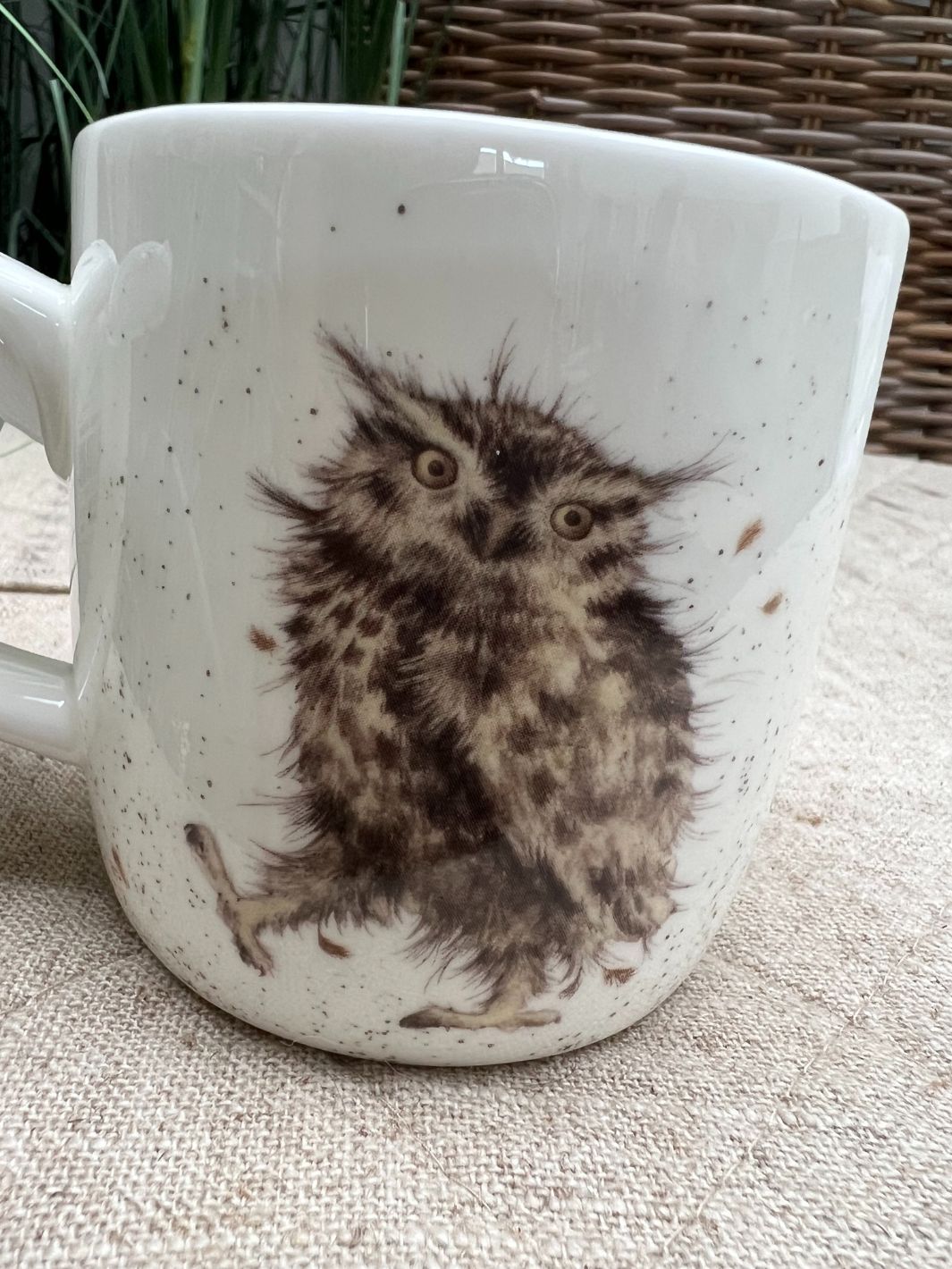 Eulen Tasse von Wrendale Designs