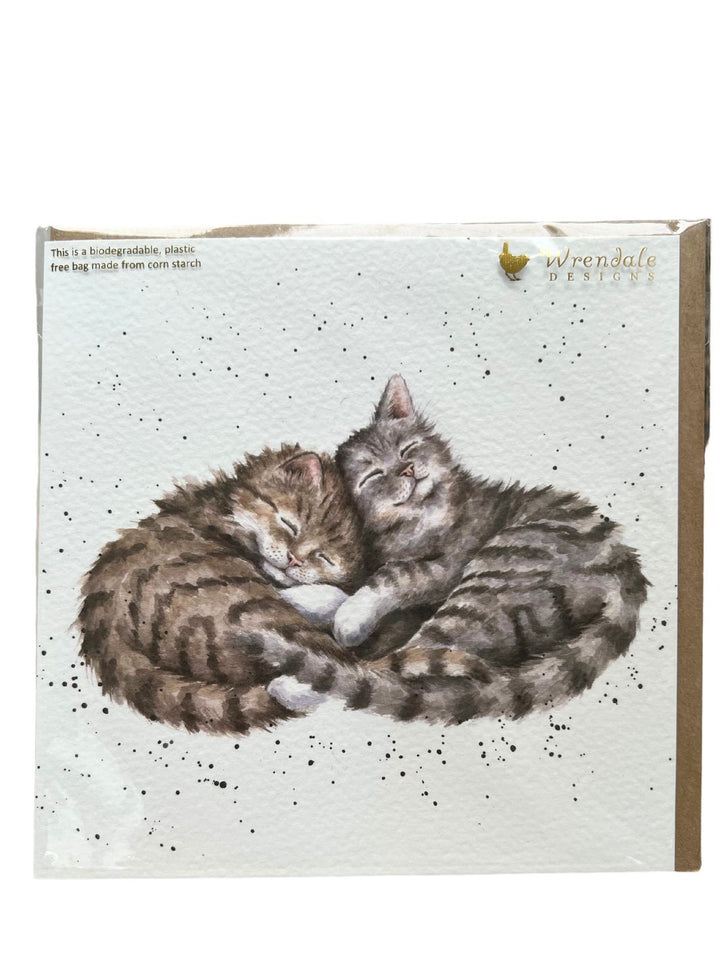 Grußkarte Katzen von Wrendale Designs