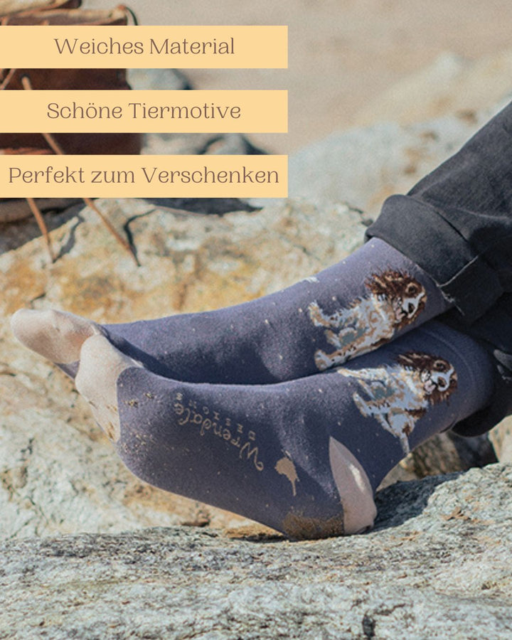 Weiche Männersocken mit schönem Spaniel Hunde-Motiv von Wrendale Designs auch perfekt zum Verschenken.